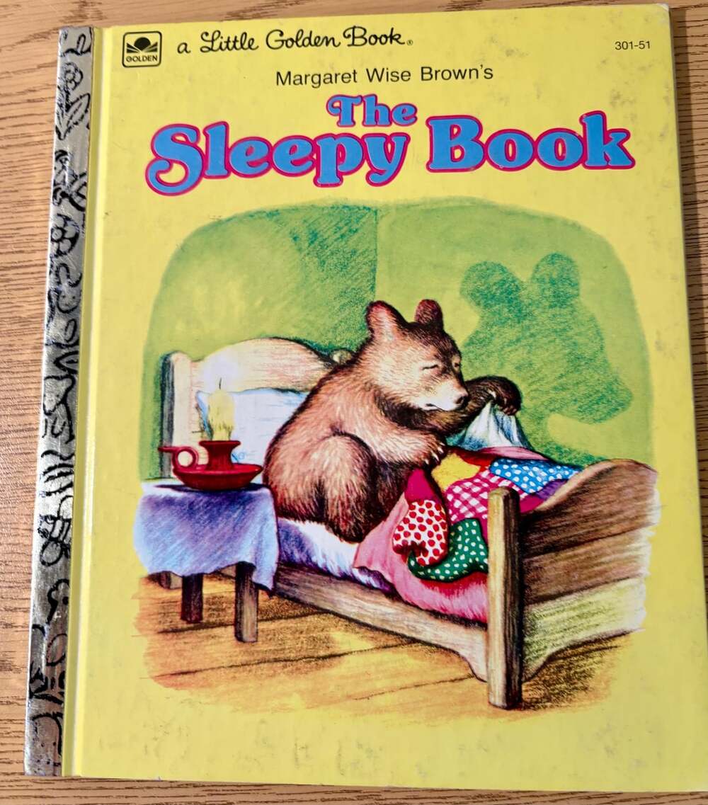 Vintage 1975 Little Golden Book ā The Sleepy Book